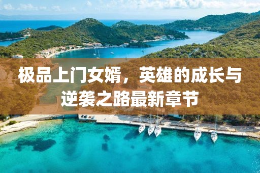极品上门女婿，英雄的成长与逆袭之路最新章节