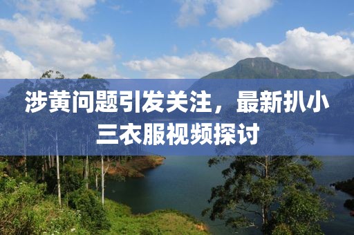 涉黄问题引发关注，最新扒小三衣服视频探讨