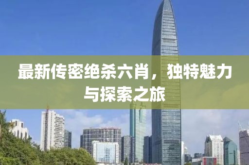 最新传密绝杀六肖，独特魅力与探索之旅