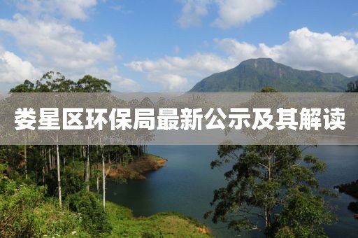 娄星区环保局最新公示及其解读
