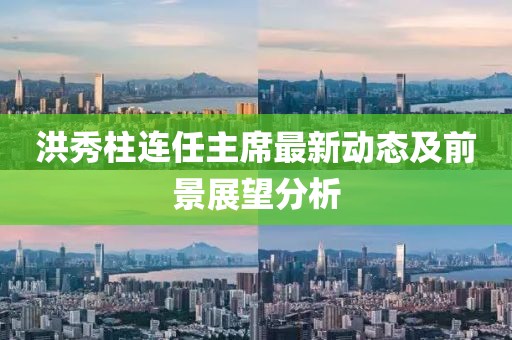 洪秀柱连任主席最新动态及前景展望分析