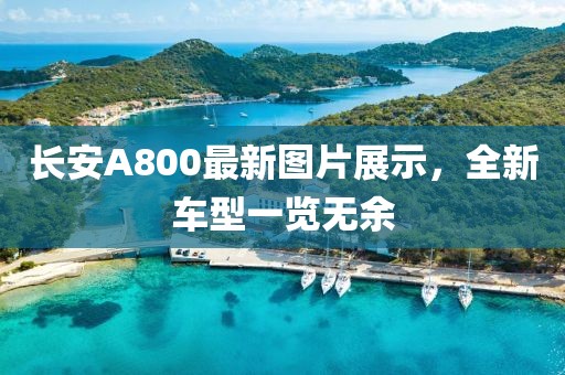 长安A800最新图片展示，全新车型一览无余
