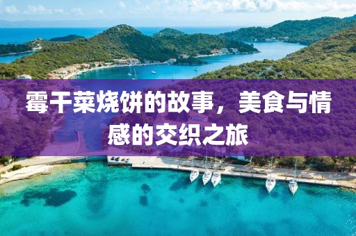 巢书双 第4页