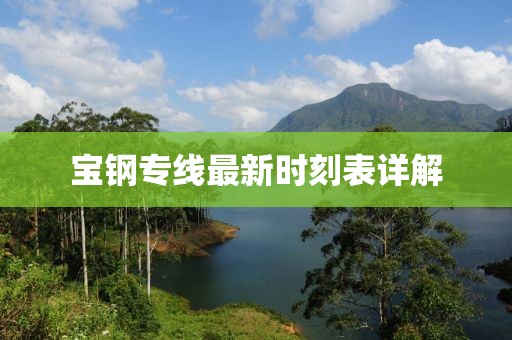 宝钢专线最新时刻表详解