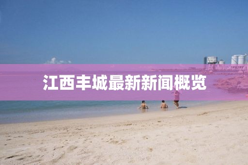 江西丰城最新新闻概览