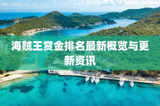 海贼王赏金排名最新概览与更新资讯