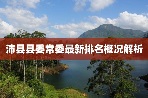 沛县县委常委最新排名概况解析