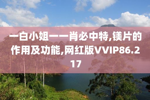 一白小姐一一肖必中特,镁片的作用及功能,网红版VVIP86.217