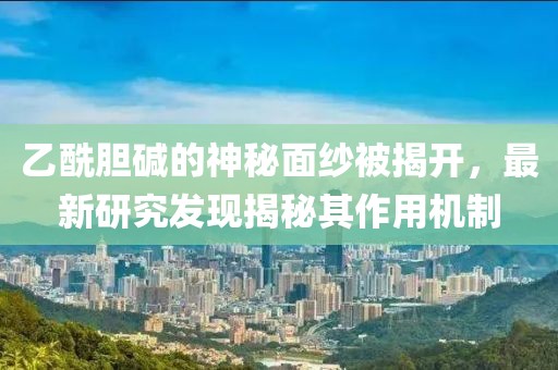 乙酰胆碱的神秘面纱被揭开，最新研究发现揭秘其作用机制