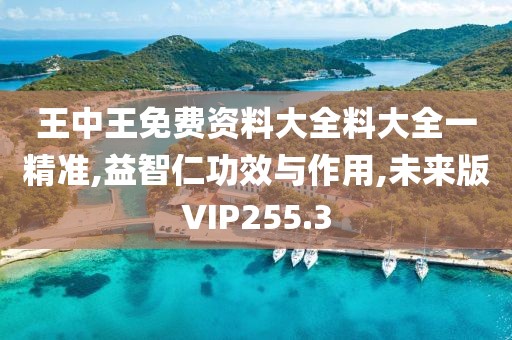 王中王免费资料大全料大全一精准,益智仁功效与作用,未来版VIP255.3
