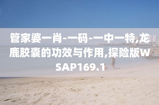 管家婆一肖-一码-一中一特,龙鹿胶囊的功效与作用,探险版WSAP169.1
