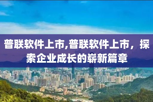 普联软件上市,普联软件上市，探索企业成长的崭新篇章