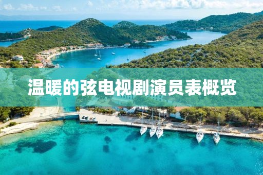 温暖的弦电视剧演员表概览
