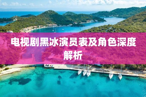 电视剧黑冰演员表及角色深度解析