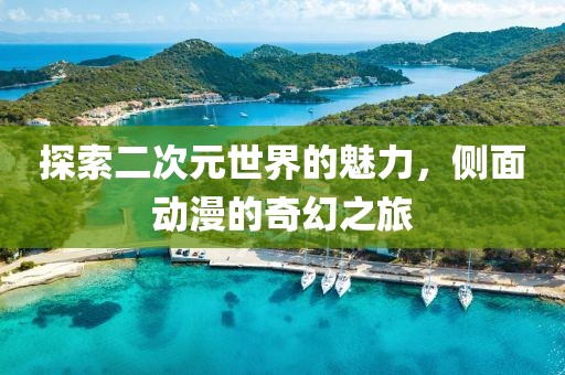探索二次元世界的魅力，侧面动漫的奇幻之旅