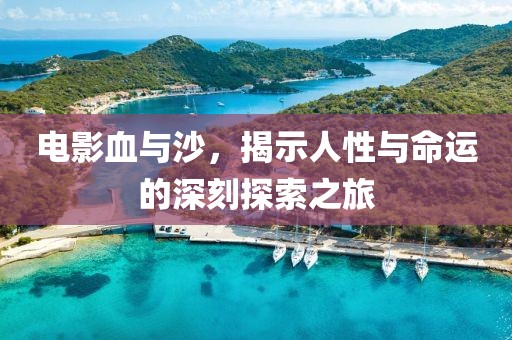 电影血与沙，揭示人性与命运的深刻探索之旅