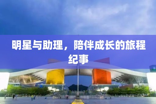 明星与助理，陪伴成长的旅程纪事