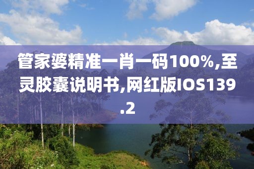 管家婆精准一肖一码100%