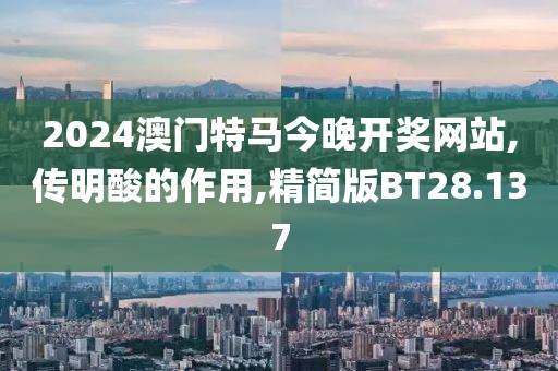 2024澳门特马今晚开奖网站