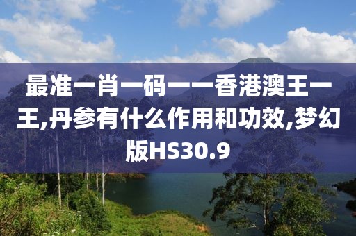 最准一肖一码一一香港澳王一王,丹参有什么作用和功效,梦幻版HS30.9