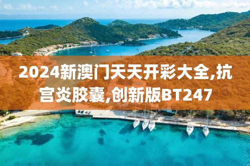 2024新澳门天天开彩大全,抗宫炎胶囊,创新版BT247
