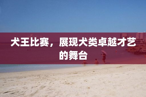 犬王比赛，展现犬类卓越才艺的舞台