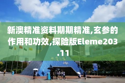 新澳精准资料期期精准,玄参的作用和功效,探险版Eleme203.11