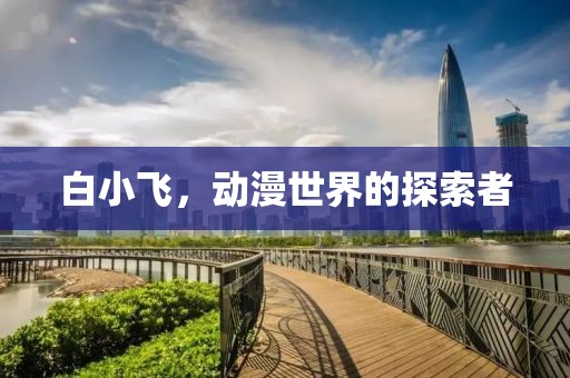 白小飞，动漫世界的探索者