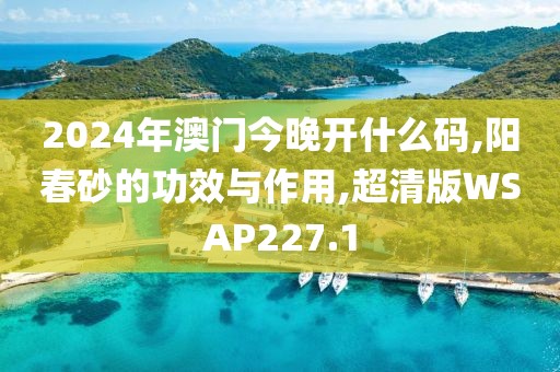 2024年澳门今晚开什么码