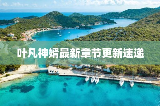 叶凡神婿最新章节更新速递