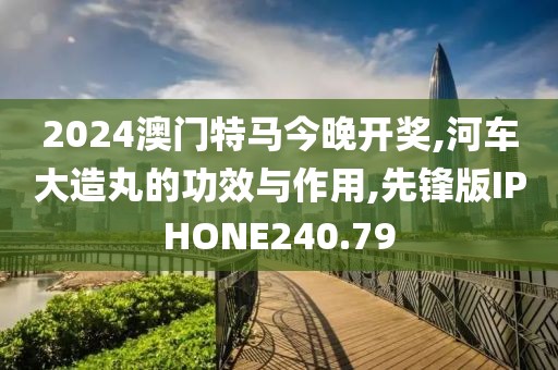2024澳门特马今晚开奖,河车大造丸的功效与作用,先锋版IPHONE240.79