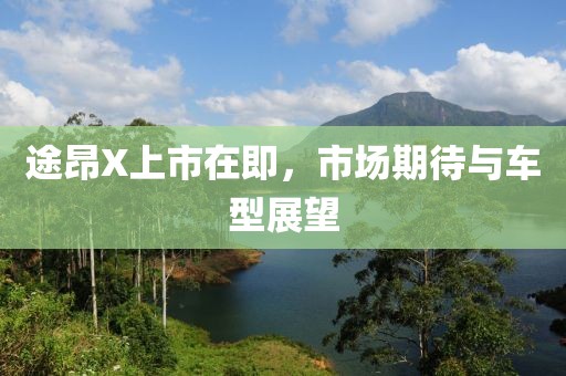 途昂X上市在即，市场期待与车型展望