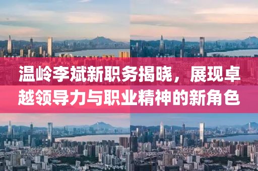 温岭李斌新职务揭晓，展现卓越领导力与职业精神的新角色