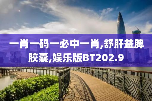 一肖一码一必中一肖,舒肝益脾胶囊,娱乐版BT202.9