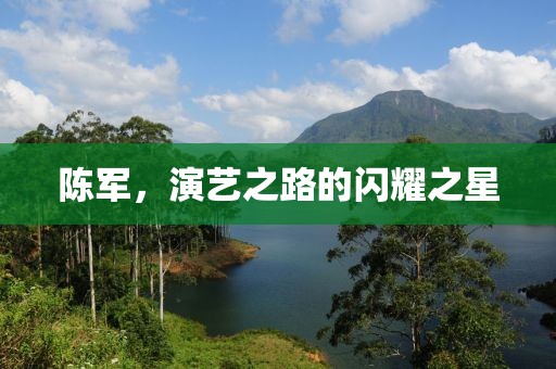 陈军，演艺之路的闪耀之星