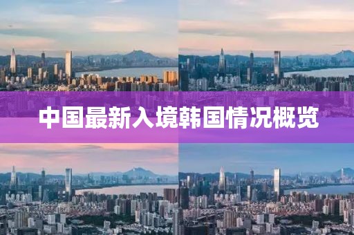 中国最新入境韩国情况概览