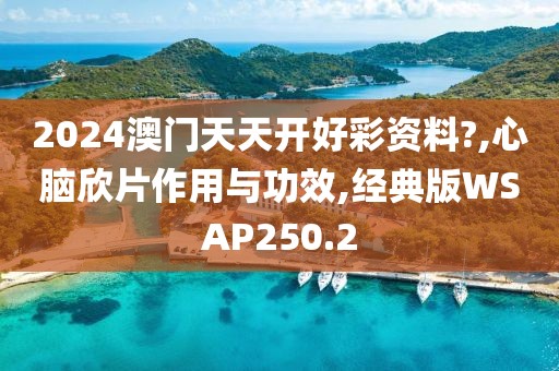2024澳门天天开好彩资料?