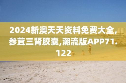 2024新澳天天资料免费大全