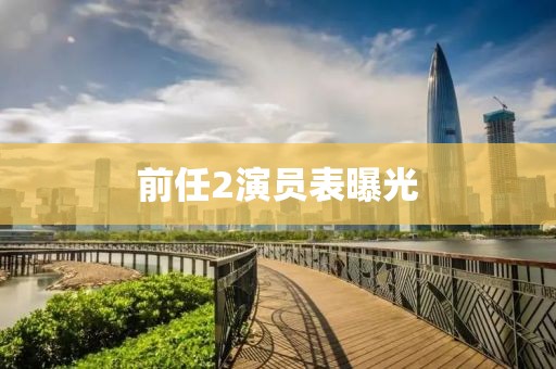 前任2演员表曝光