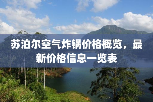 苏泊尔空气炸锅价格概览，最新价格信息一览表