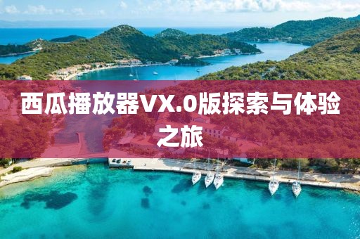 西瓜播放器VX.0版探索与体验之旅