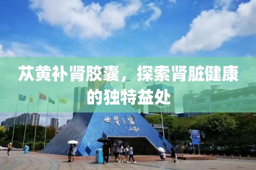 苁黄补肾胶囊，探索肾脏健康的独特益处