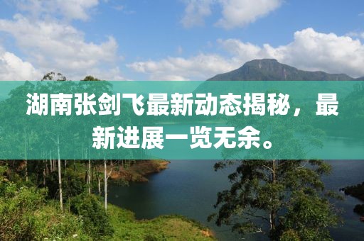 湖南张剑飞最新动态揭秘，最新进展一览无余。