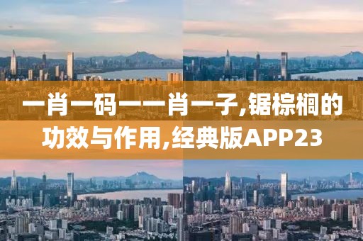 一肖一码一一肖一子,锯棕榈的功效与作用,经典版APP23