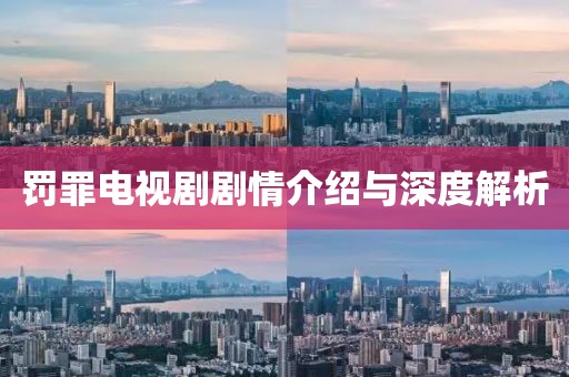 罚罪电视剧剧情介绍与深度解析