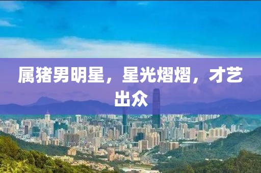 属猪男明星，星光熠熠，才艺出众