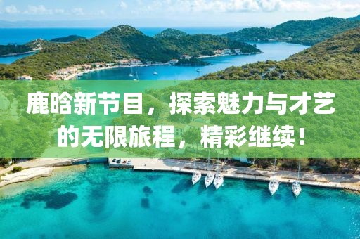 鹿晗新节目，探索魅力与才艺的无限旅程，精彩继续！