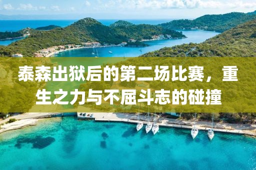 泰森出狱后的第二场比赛，重生之力与不屈斗志的碰撞