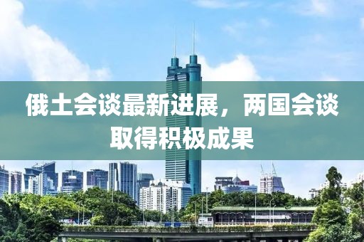 俄土会谈最新进展，两国会谈取得积极成果