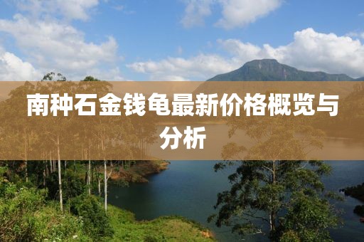 南种石金钱龟最新价格概览与分析